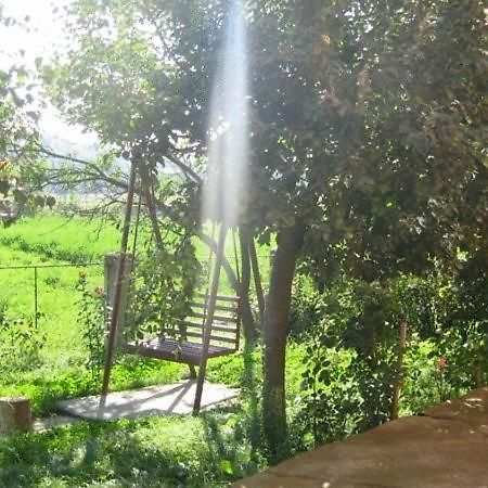 Lary Hostel Suceava Ngoại thất bức ảnh