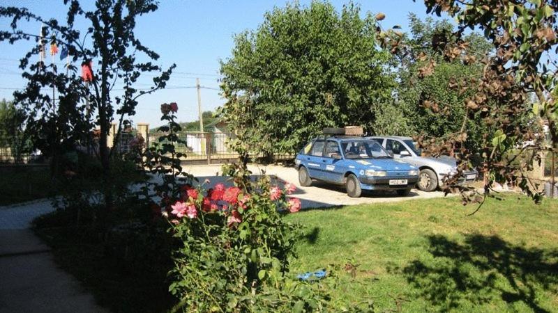 Lary Hostel Suceava Ngoại thất bức ảnh