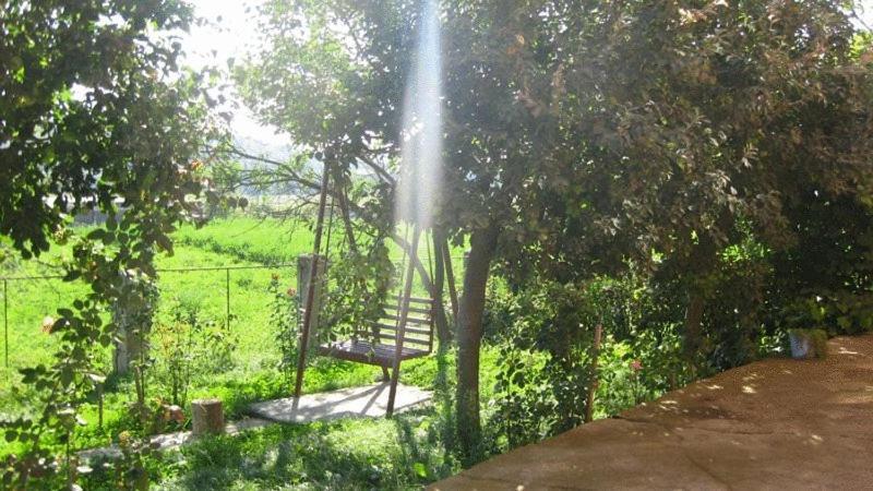 Lary Hostel Suceava Ngoại thất bức ảnh