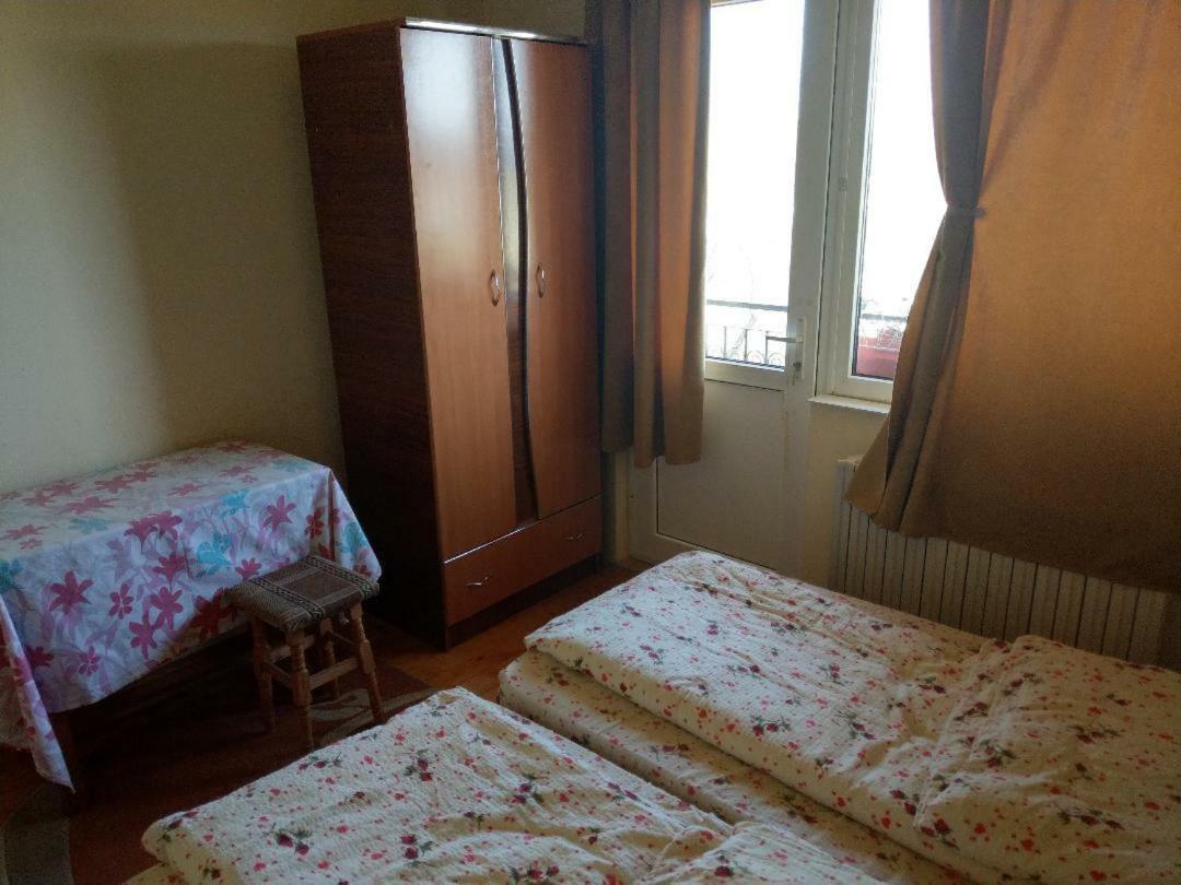 Lary Hostel Suceava Ngoại thất bức ảnh